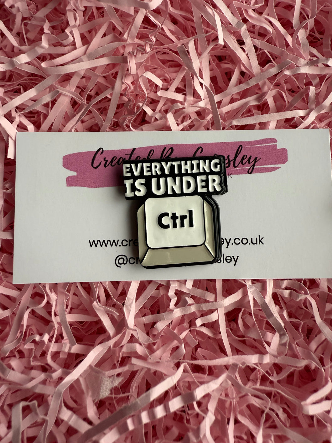 “Everything is under Ctrl” Pin Badge