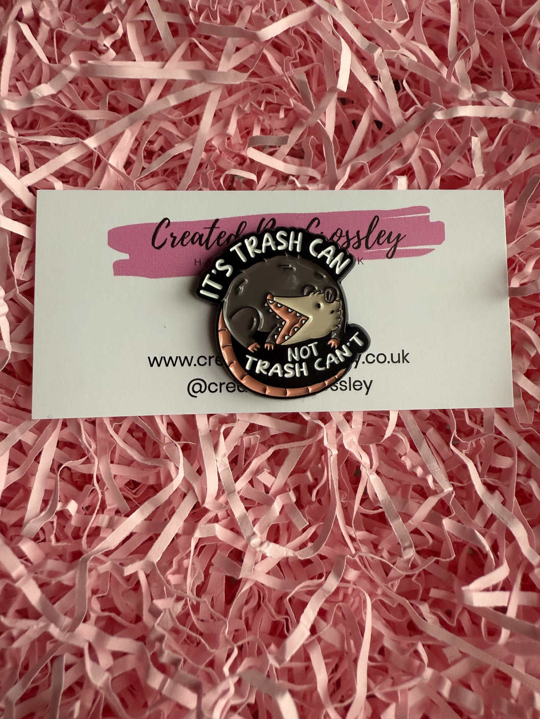 “It’s trash can not trash can’t” Possum Pin Badge