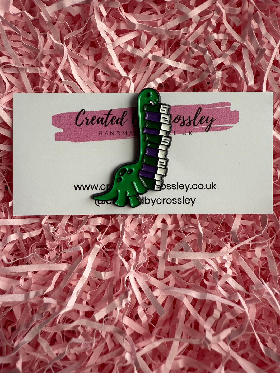 Book Dinosaur Pin Badge
