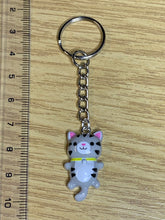 Load image into Gallery viewer, Colourful Cat Charm Keyring
